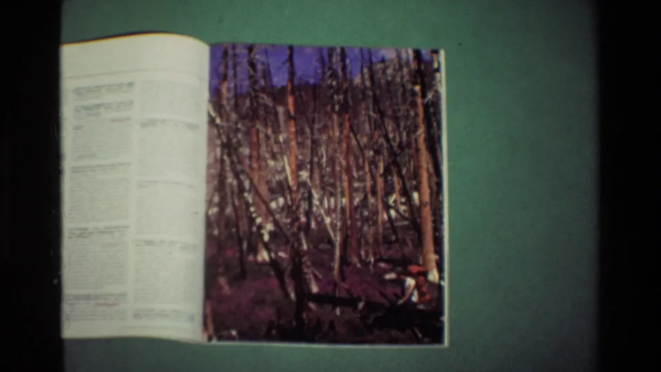 The magazine is partly turned to a spread with a large color forest photograph, visible in warm, grainy 8mm home-movie footage.
