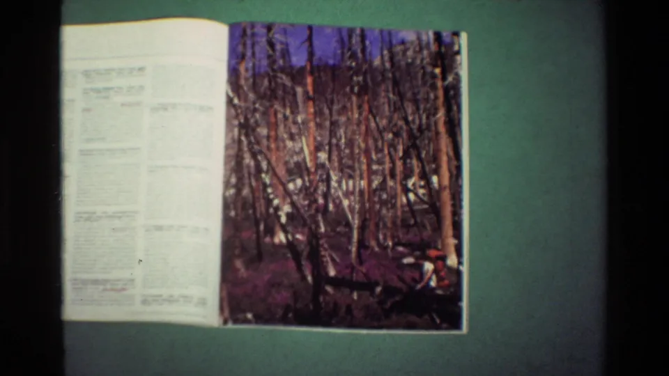 An open magazine rests on a green surface, with a text-heavy page beside a large color photograph of a sparse forest area.