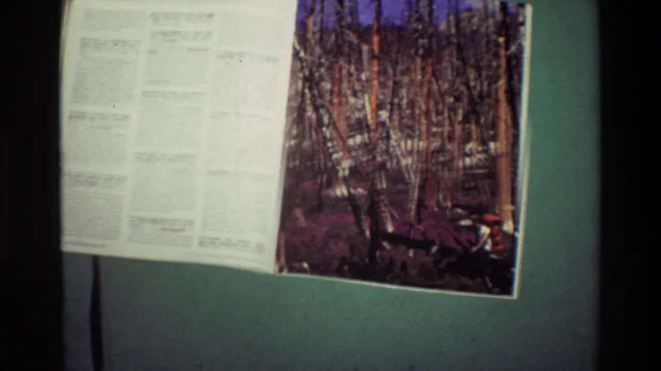 1981 8mm frame showing an open printed spread on green backing, with dense text at left and a bare-tree forest photograph at right.