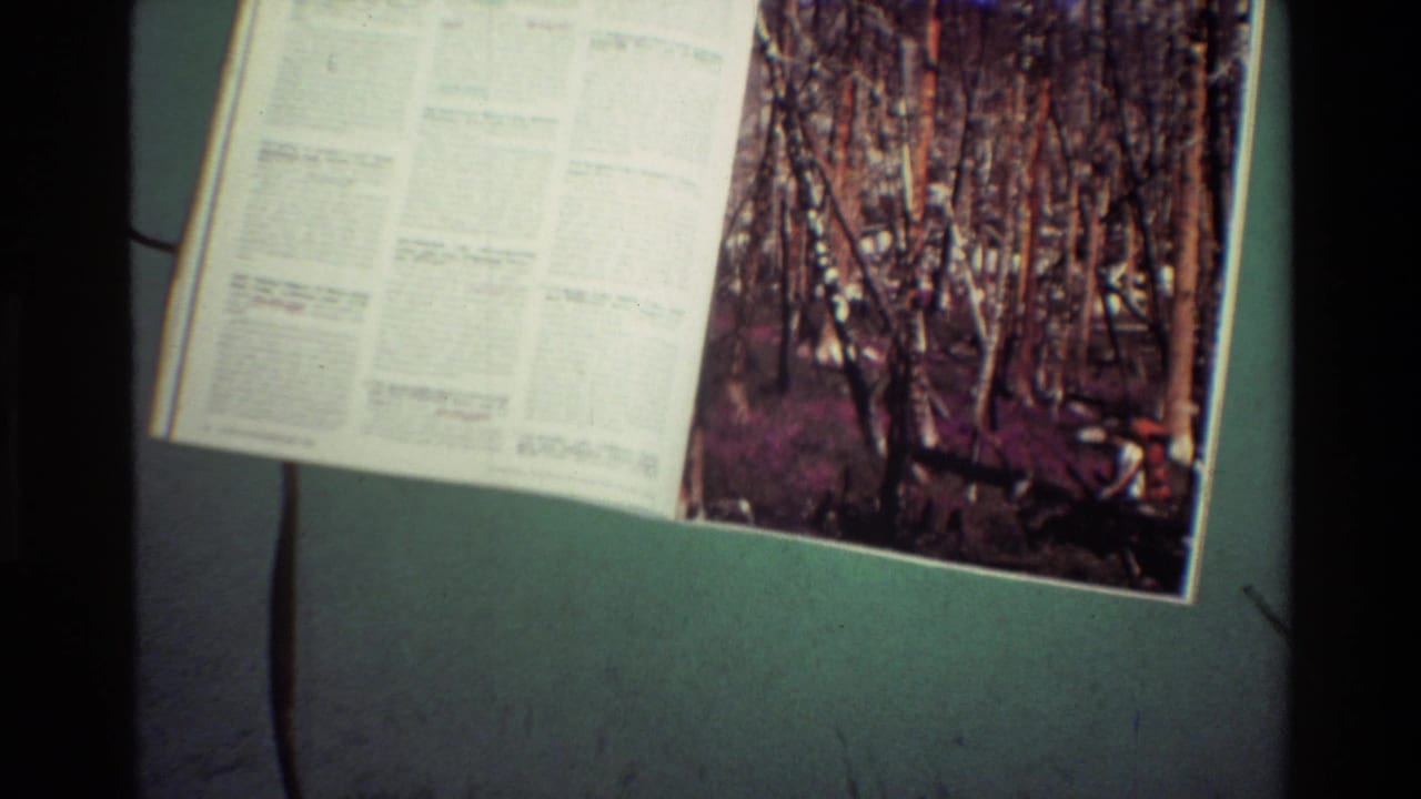 Handheld 8mm view of a tilted magazine or guide page, showing pale text columns beside a dark wooded photograph.