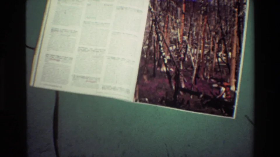 Handheld 8mm view of a tilted magazine or guide page, showing pale text columns beside a dark wooded photograph.