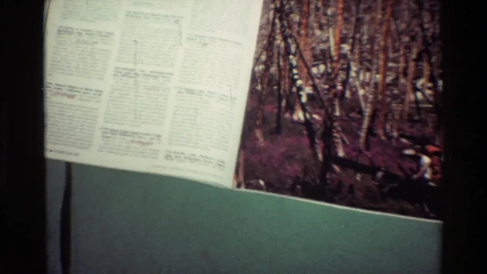Closer 8mm frame of dense small print and a color forest photograph, with page corners and green backing visible.