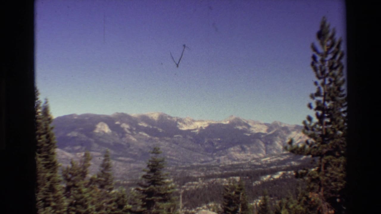 Mountain range and evergreen foreground seen through a film frame.