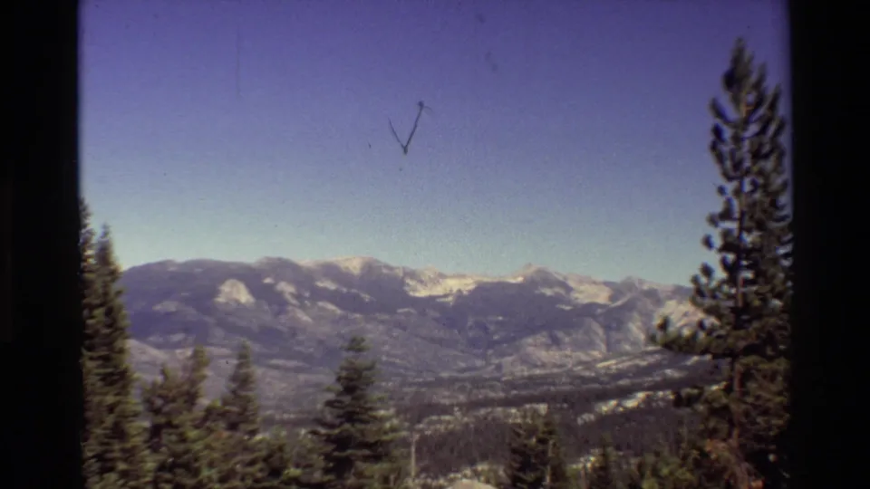 Wide 8mm view of snowy ridgelines under clear sky, with tall evergreens at the edges and visible film artifacts.