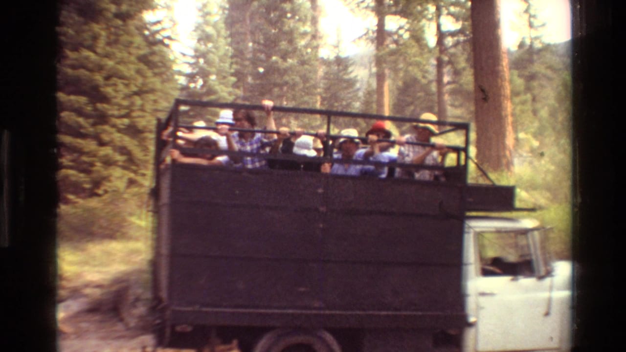 Open utility truck carrying tourists through a wooded area.