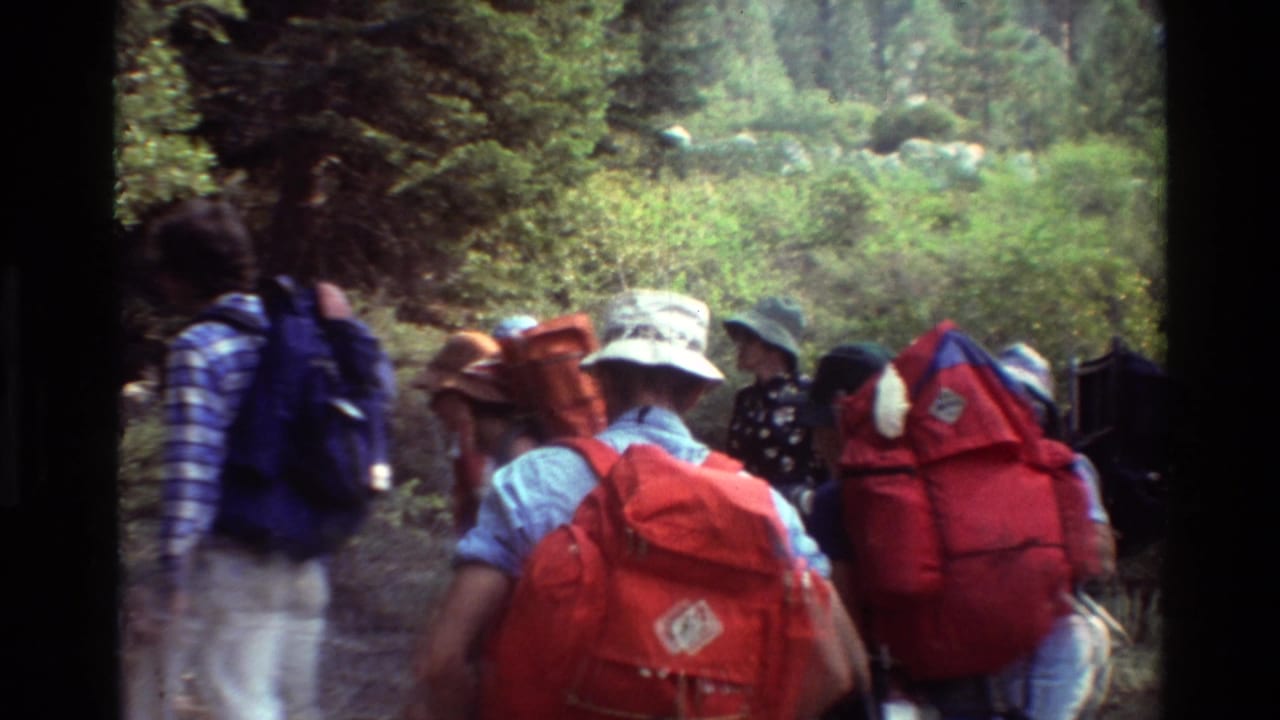 A group of backpackers on a forest trail, likely from the 1981 8mm hiking clip, seen from behind with bright packs and brimmed hats.