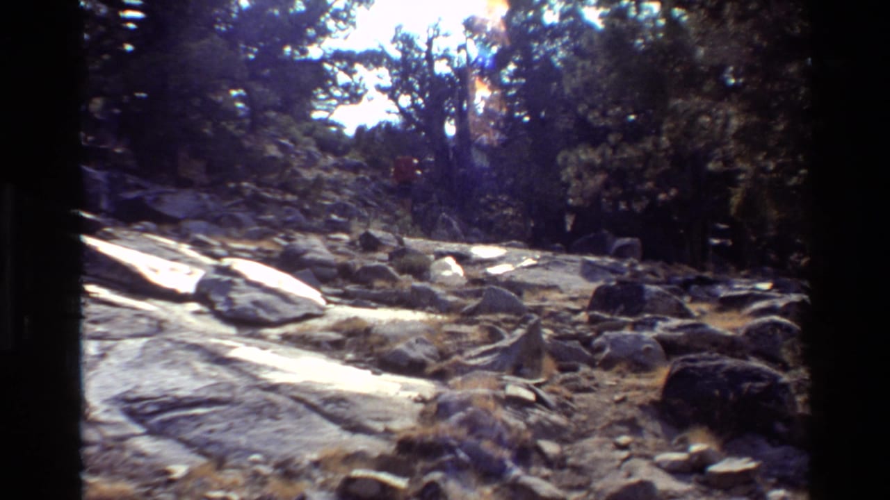 1981 8mm frame of a rocky wooded trail with scattered boulders, scrub, and strong sunlight filtering through trees.