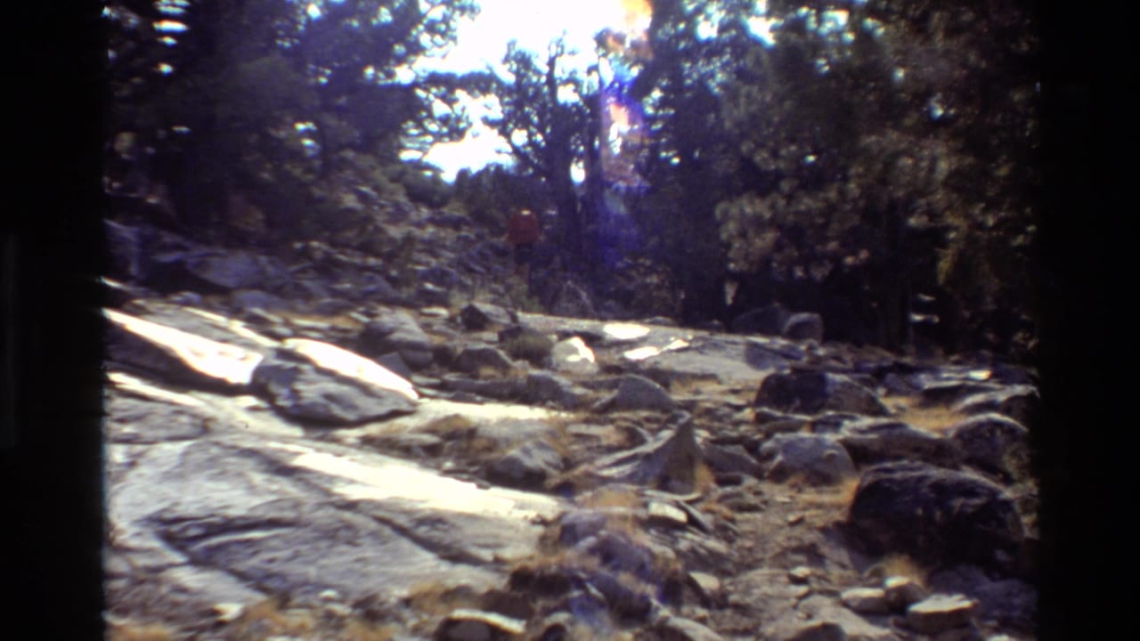 Rocky wooded scenery in the listed 1981 hiking clip, showing boulders, trees, and high-contrast sunlight on the trail.