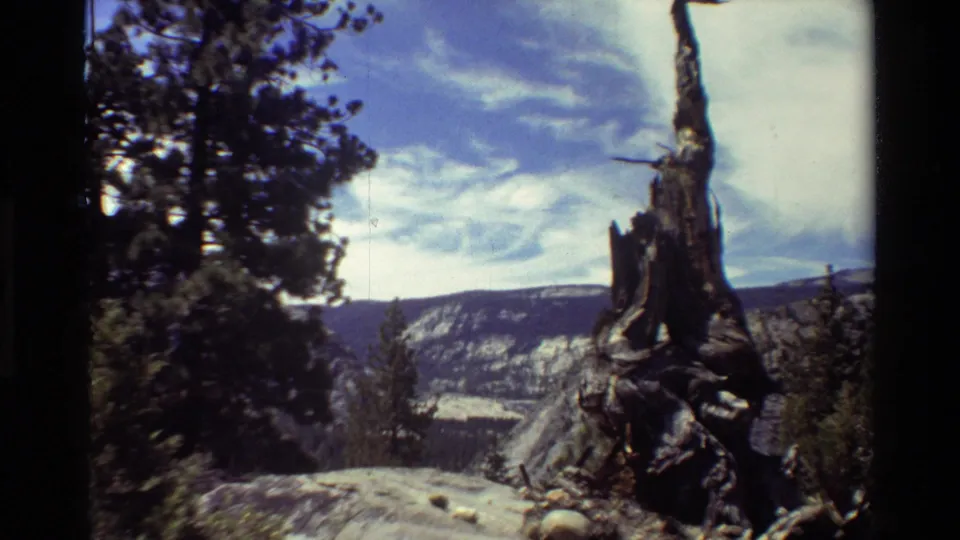 A weathered stump in the foreground overlooks forested ridges and a bright sky in 1981 8mm-style travel footage.