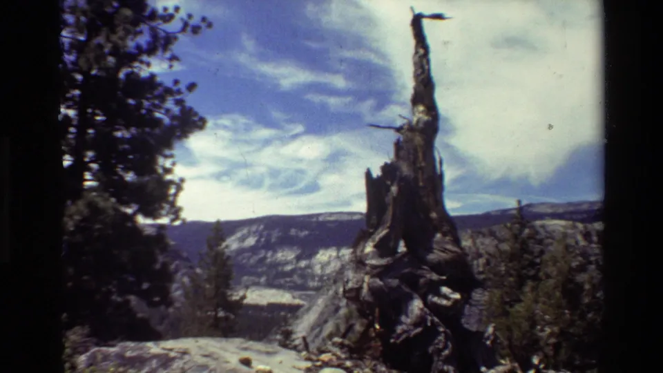 Foreground stump and rocky ledge overlook forest and distant ridges in supplied 1981 8mm mountain travel footage.