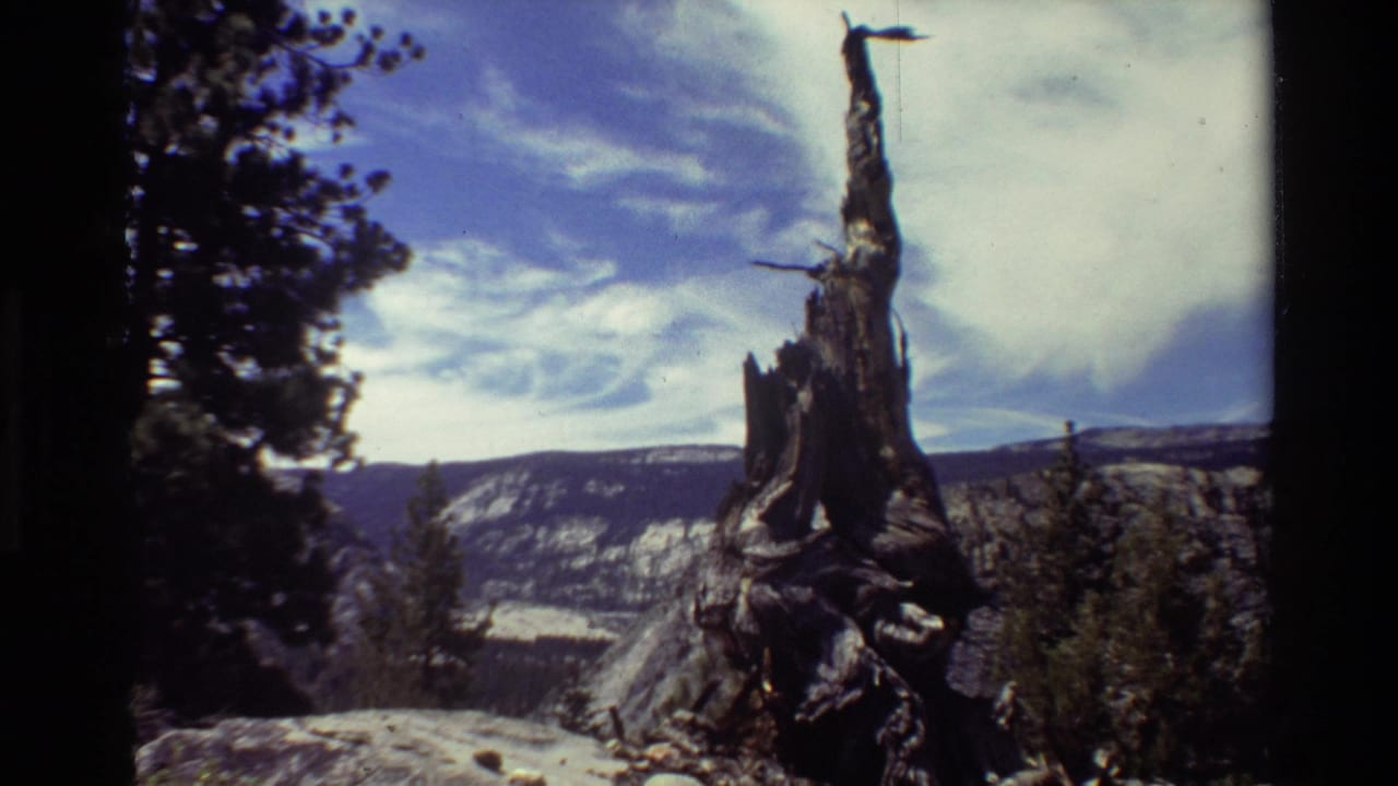 1981 8mm frame of a dead tree stump in a forested mountain setting, with ridges, trees, and blue sky visible.
