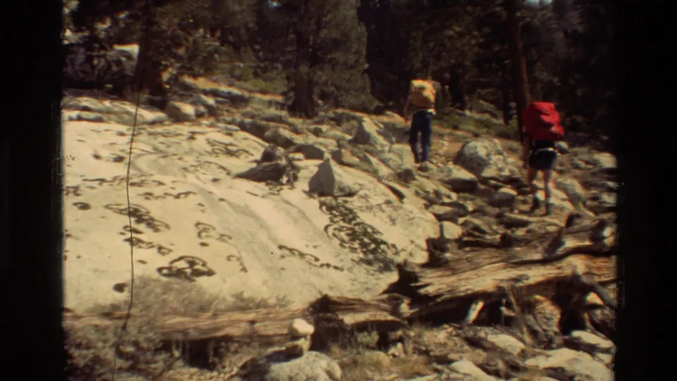 Two hikers seen from behind continue along uneven rocky woodland terrain, with fallen logs and pines around them.