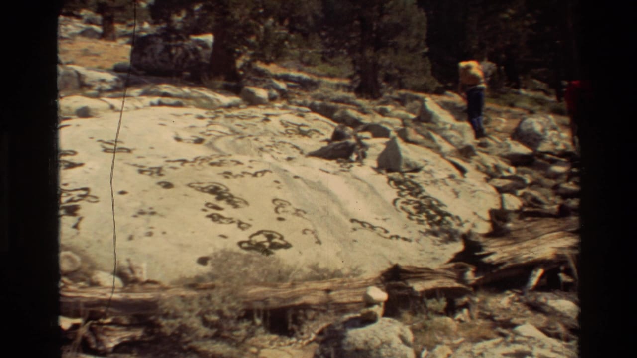 Two hikers stand near a pale marked boulder on a rocky forest trail.