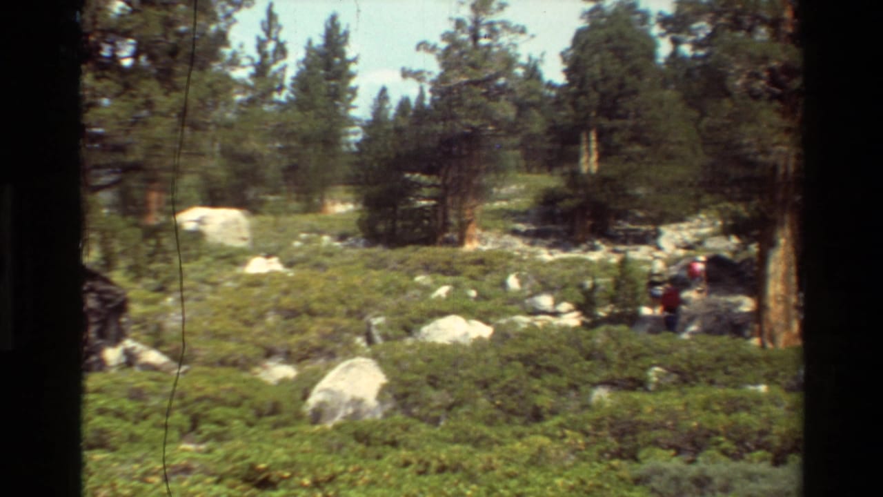 1981 8mm frame of distant family hikers among conifers, brush, and boulders in a mountain forest setting described by metadata as British Columbia or USA.