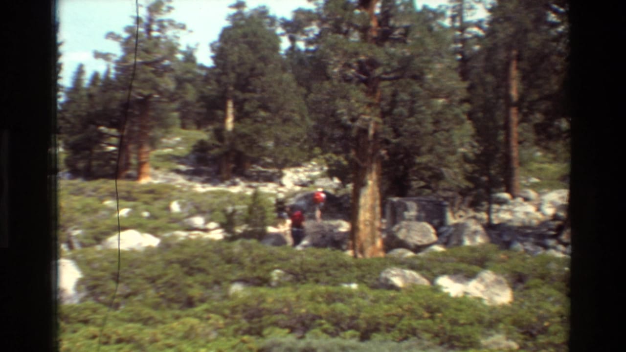 Distant hikers, one in red, cross uneven rocky ground between conifer trees in 1981 home-movie footage from a mountain recreation setting.