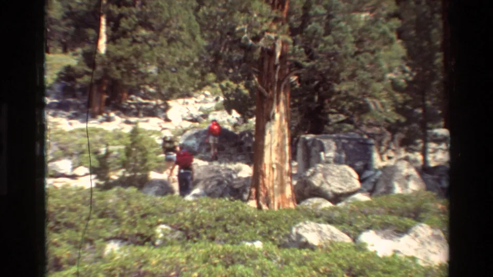 Three distant family members appear to climb through boulders and brush beside a large conifer trunk in vintage 8mm mountain-trail footage.