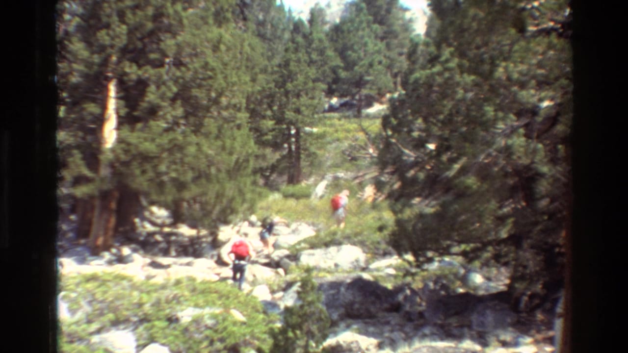 Listed 1981 home-movie frame of hikers in a rocky pine forest, including a person in a red shirt on the trail.