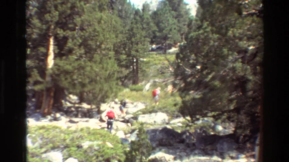 Listed 1981 home-movie frame of hikers in a rocky pine forest, including a person in a red shirt on the trail.