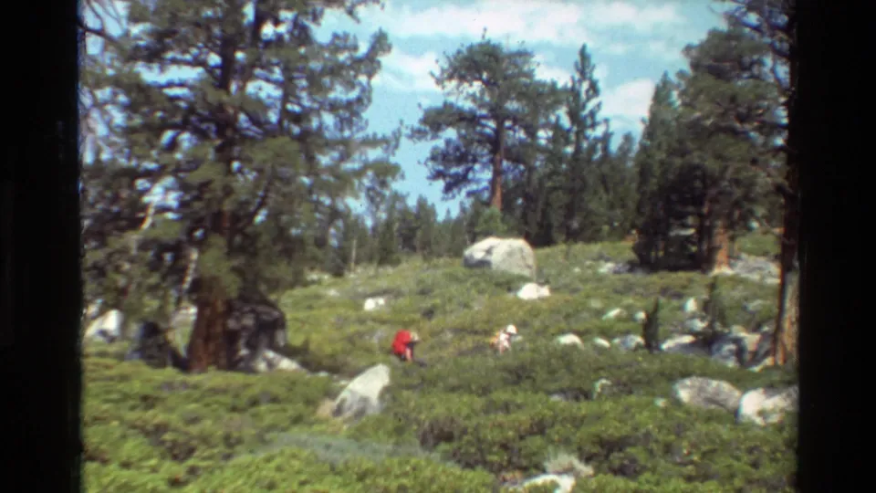 Distant hikers appear across a scrubby rocky forest area in listed British Columbia home-movie footage.