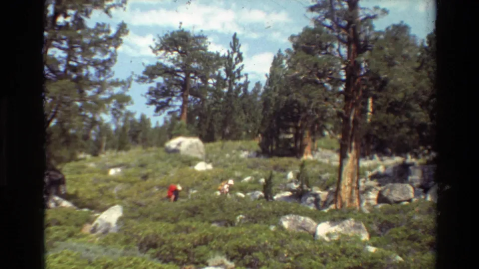 The final frame shows distant hikers in a rocky pine forest landscape, with one red figure near the lower center.