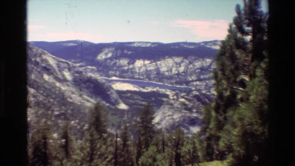 1981 8mm frame of a forested British Columbia valley, with a tall evergreen in the foreground and water below distant ridges.