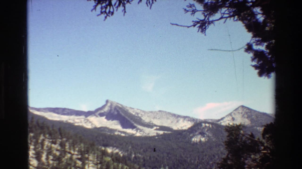 Snow-capped peaks and evergreen forest appear in a British Columbia mountain landscape, with tree branches framing the upper edge.