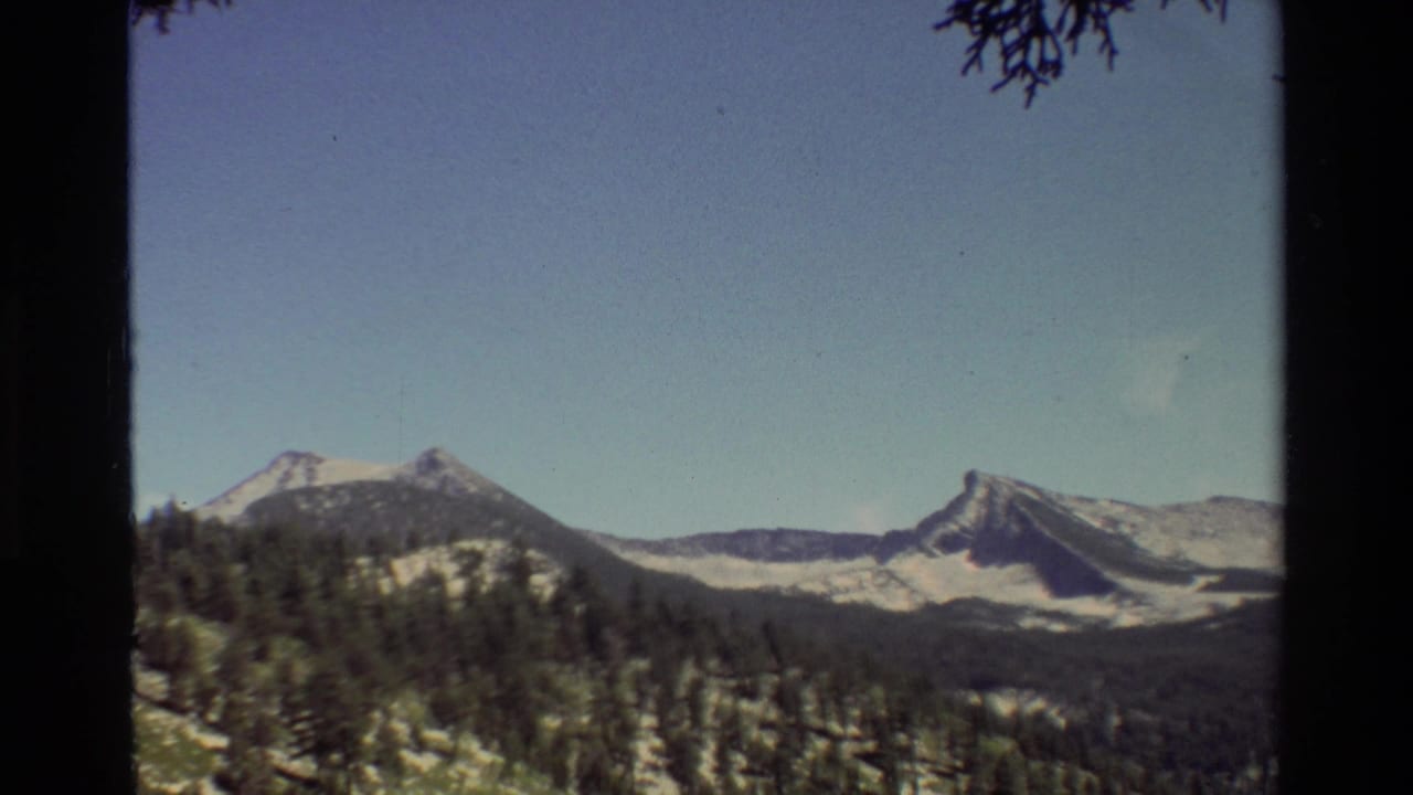 Snow-capped mountain range beyond conifer forest, framed by dark tree trunks and branches.