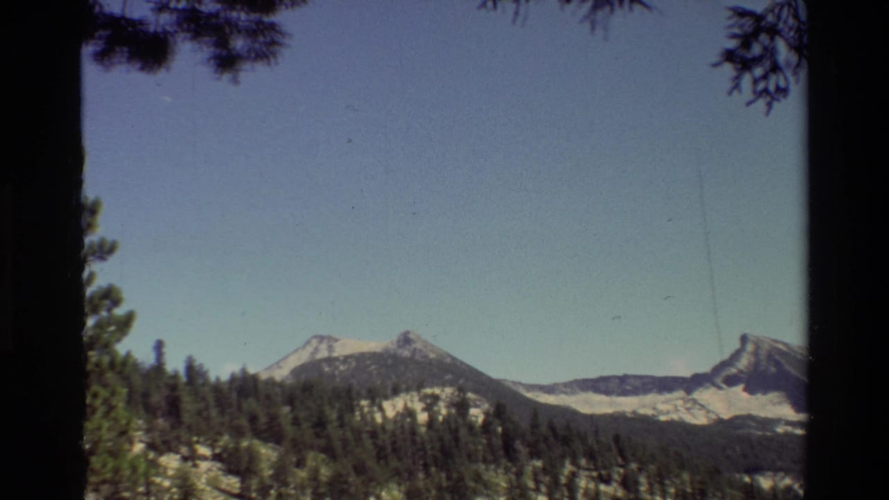 Wide mountain view with snow patches, evergreen forest, blue sky, and a dark tree trunk at left.