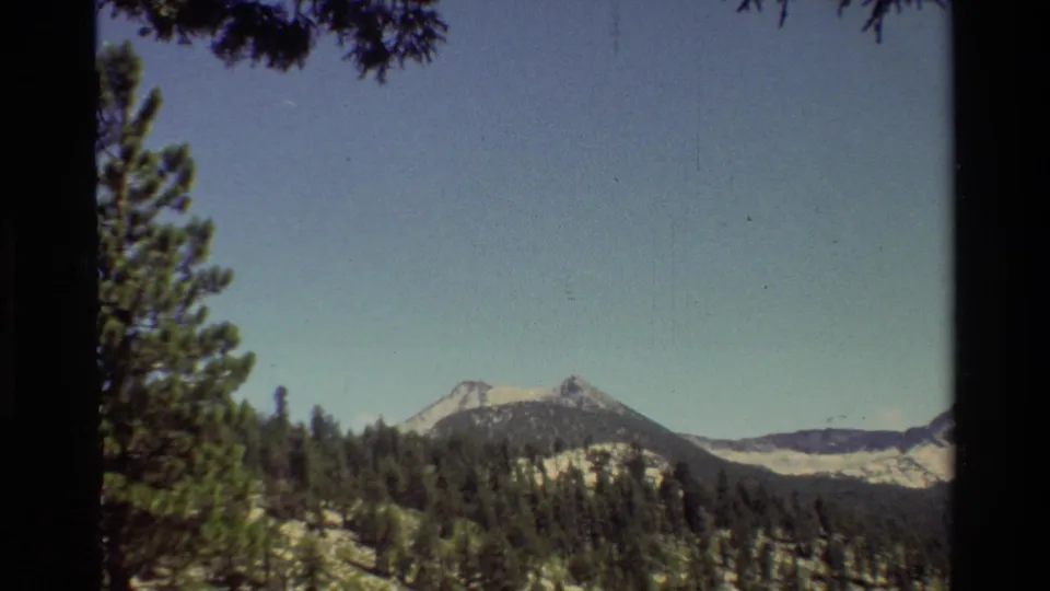 Home-movie frame of distant mountains and wooded hills, with foreground conifers and branches partially framing the listed 1981 landscape.