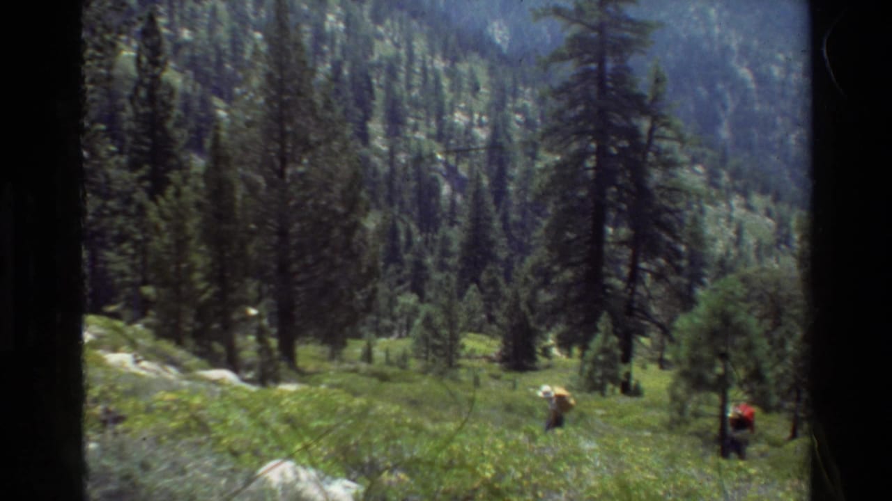 1981 8mm-style home-movie frame of distant backpack hikers on a grassy mountain slope among evergreens.