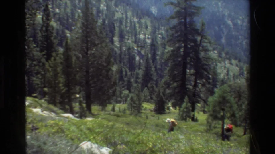 1981 8mm-style home-movie frame of distant backpack hikers on a grassy mountain slope among evergreens.