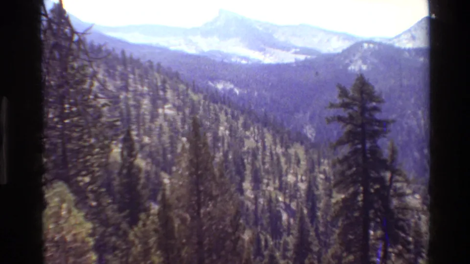 Wide 1981 home-movie frame of evergreen-covered mountains, a foreground tree, and pale distant ridges.
