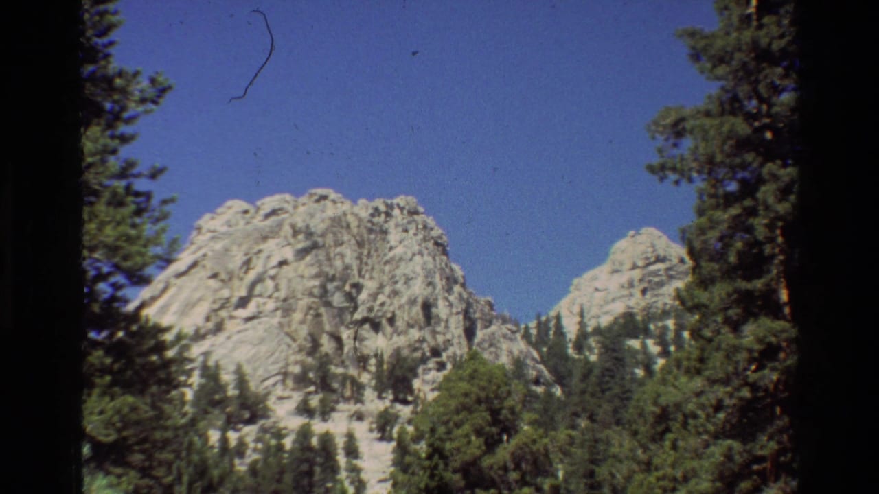 Rocky mountain peaks framed by evergreen trees under a blue sky.