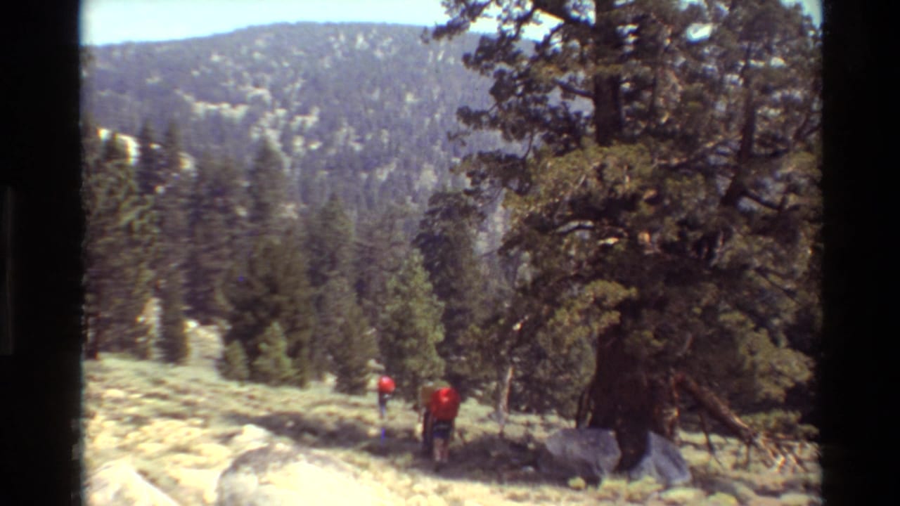 Two distant hikers continue through a pine-covered mountain landscape on pale rocky ground, based on supplied 1981 metadata.