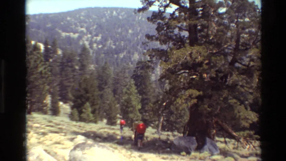 Two distant hikers continue through a pine-covered mountain landscape on pale rocky ground, based on supplied 1981 metadata.