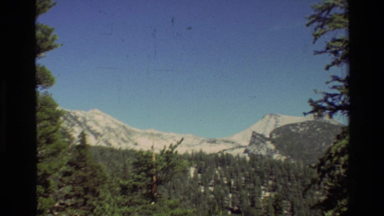 1981 metadata-supported 8mm frame showing snowy mountain peaks, evergreen trees, and a clear blue sky from a forested viewpoint.