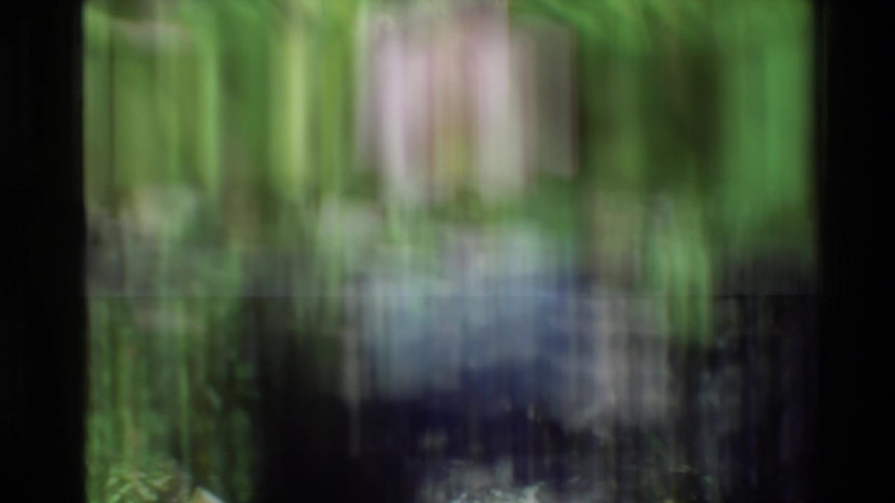 Soft, vertically blurred 8mm frame with green foliage tones and pale reflected light, likely during a camera move or transition.