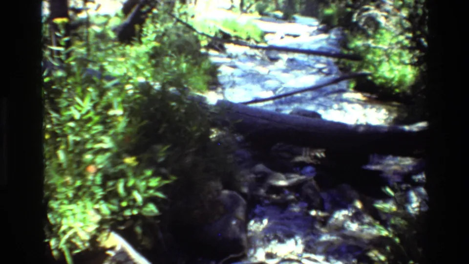 Vintage 8mm frame of a bright forest stream in British Columbia, with rocks, green banks, and a fallen log across the foreground.