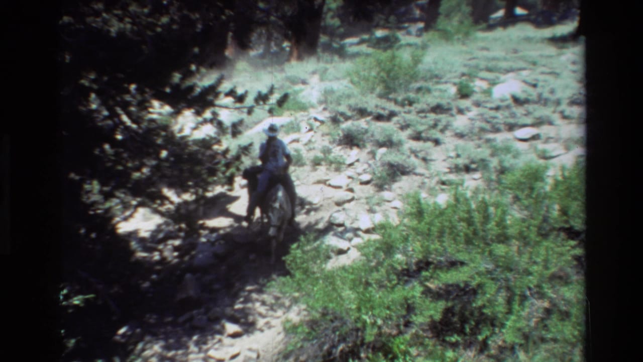 Rider on horseback enters a rocky forest trail with pack animals behind.
