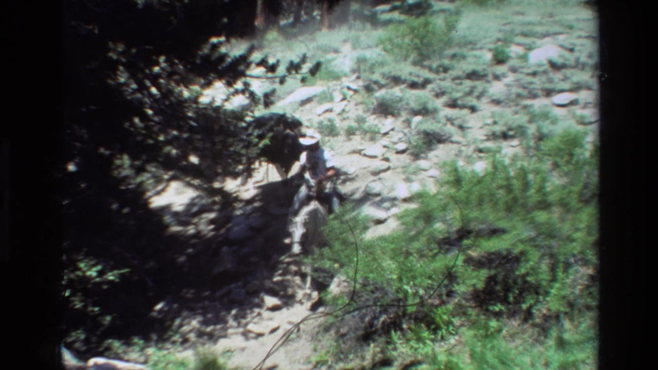 Horseback rider and pack animals continue along a sunlit rocky path.