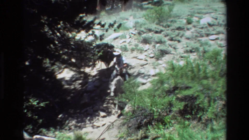 The rider guides a horse and pack animals through a bright, uneven mountain trail bordered by brush and stones.