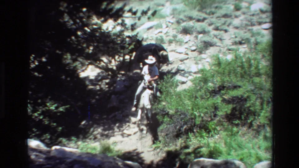 A white-hatted rider approaches on horseback while a pack animal follows on the rocky forest trail.