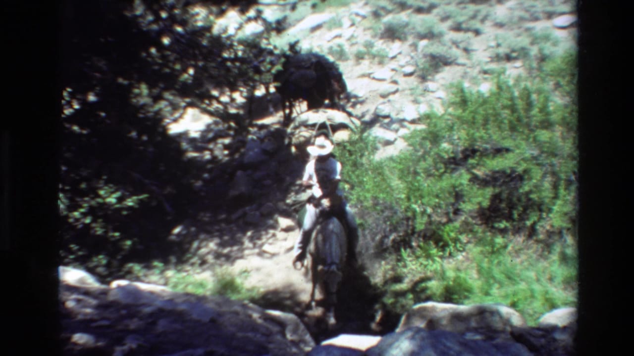 Rider on horseback leading pack animals along a rocky forest trail.