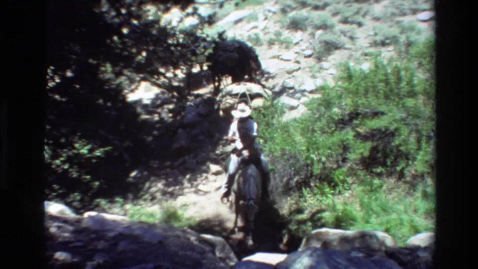 1981 8mm frame of a rider in a light shirt and wide-brimmed hat leading pack animals on a rocky forest trail.