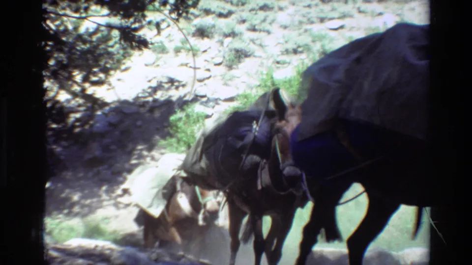 Loaded horses or pack animals pass near the camera, carrying bags and covered gear along the rocky forest path.
