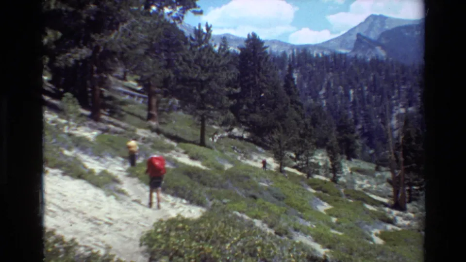 Hikers, including one with a red backpack, walk uphill on an alpine trail with pine trees and distant mountain peaks.