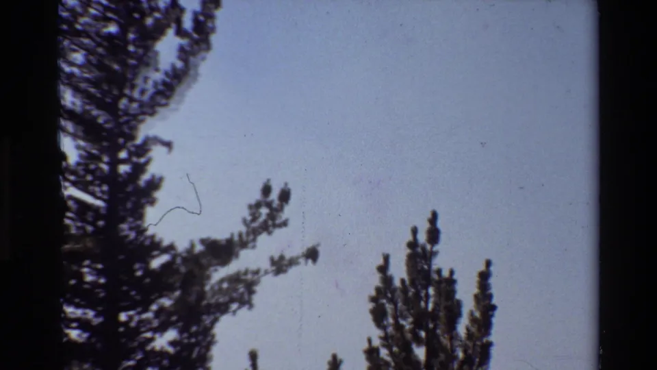 Final 8mm frame shows treetops and dark branches against open sky during the mountain forest hike.