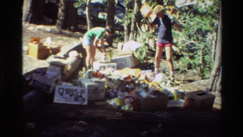 Two people continue collecting litter from a forested site, with boxes and containers spread across the ground.