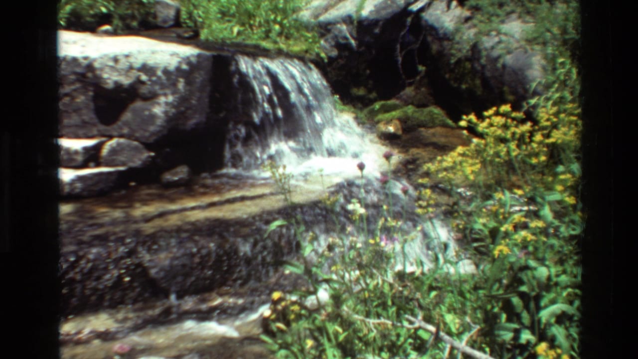 Listed 1981 8mm footage shows a small waterfall over dark rocks with stream water, foliage, and yellow wildflowers nearby.