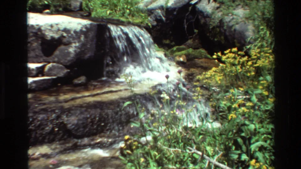 A handheld 8mm view of a rocky cascade with green streamside plants and yellow wildflowers in the foreground.